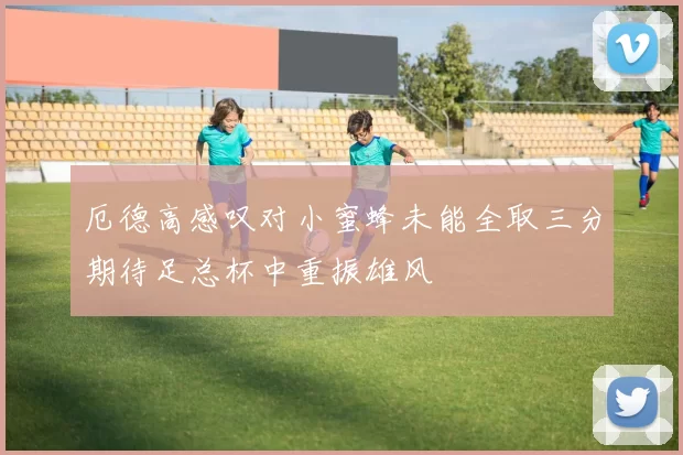 厄德高感叹对小蜜蜂未能全取三分期待足总杯中重振雄风