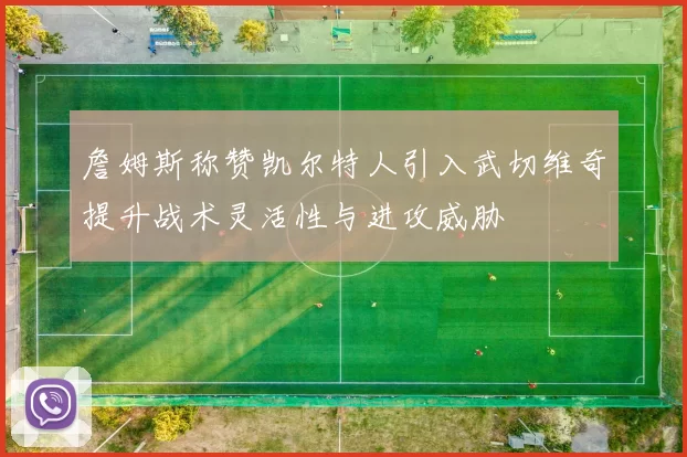 詹姆斯称赞凯尔特人引入武切维奇提升战术灵活性与进攻威胁