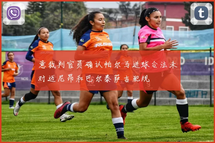意裁判官员确认帕尔马进球合法未对迈尼昂和巴尔泰萨吉犯规