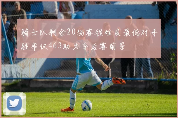 骑士队剩余20场赛程难度最低对手胜率仅463助力季后赛前景