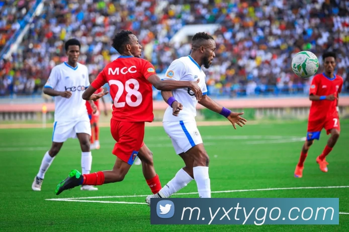 体育数据展示